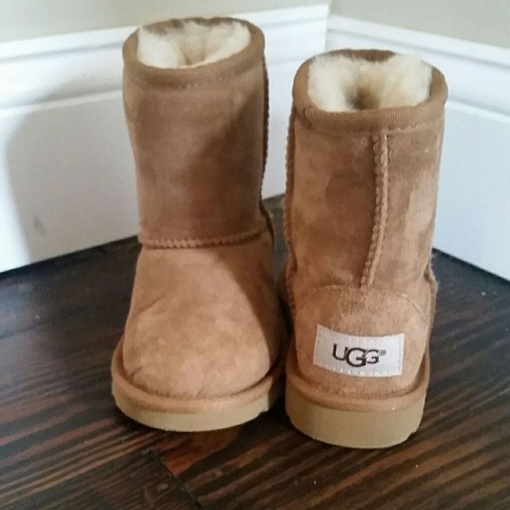 Uggs classic toddler. Brand new, never worn